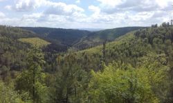 Classe Decouverte   039